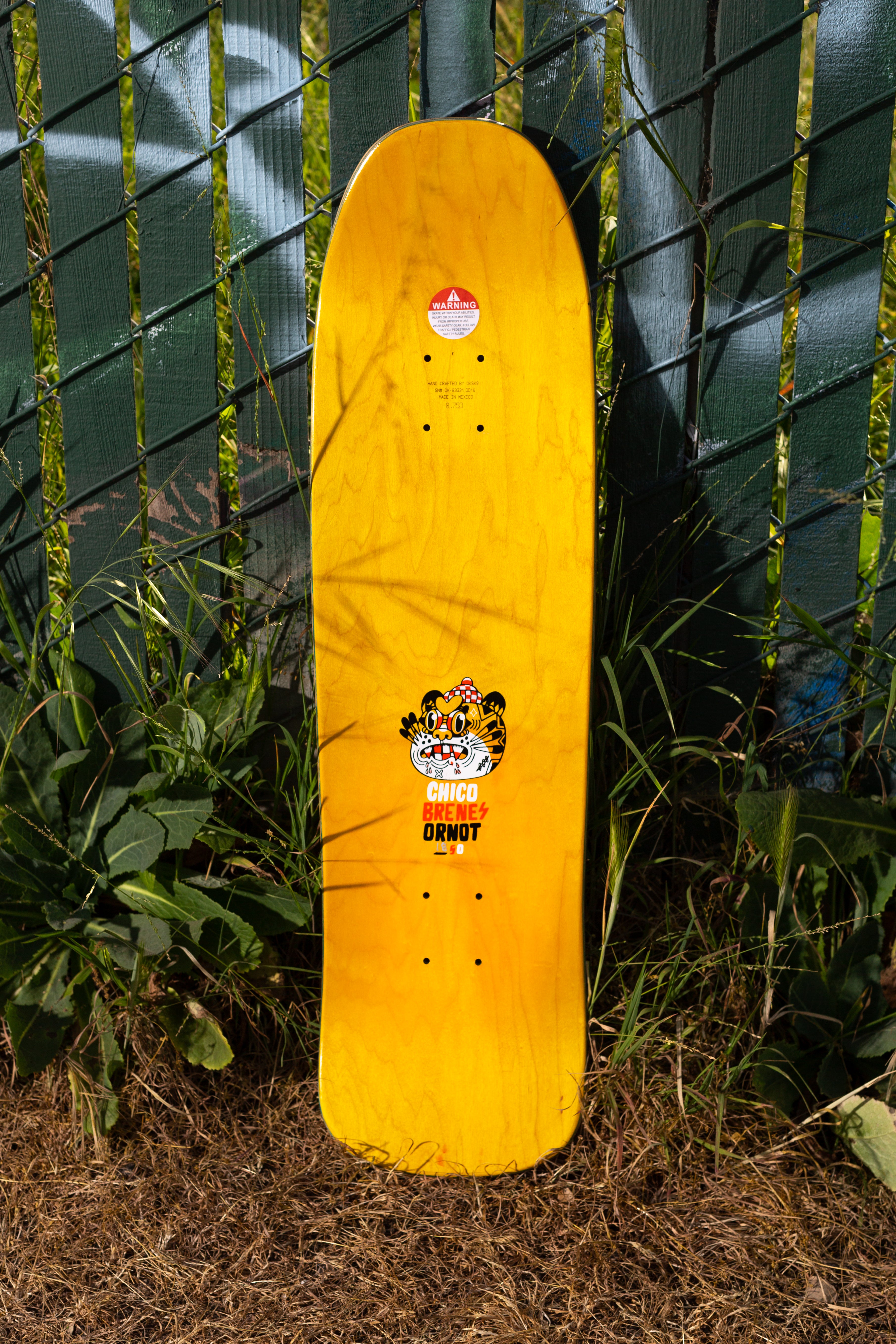 Signed Chico x Ornot 